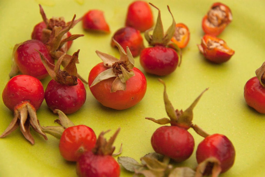 Rose hips (Rosa canina)