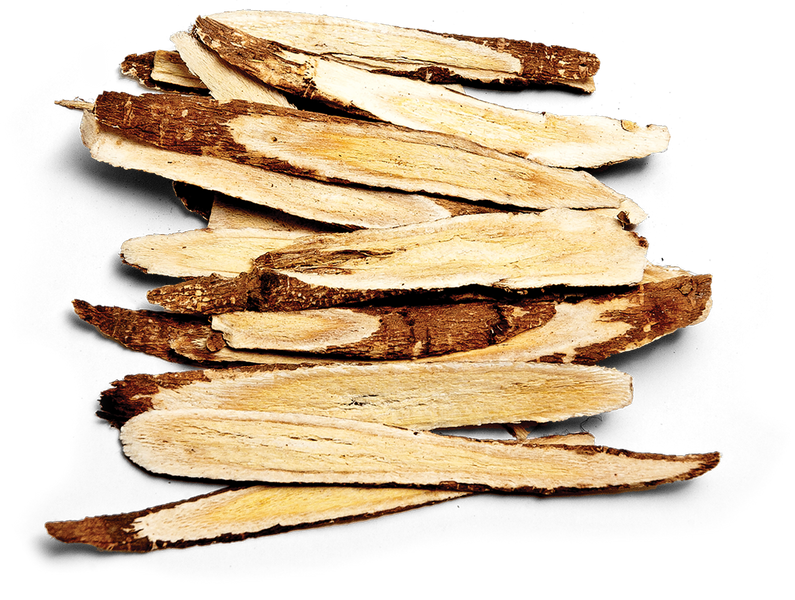 Astragalus (Astragalus membranaceus)