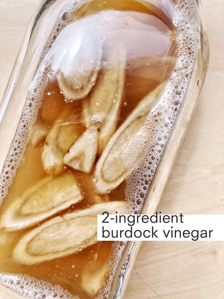 Recipe: 2-Ingredient Burdock Vinegar Tonic for Liver Detox