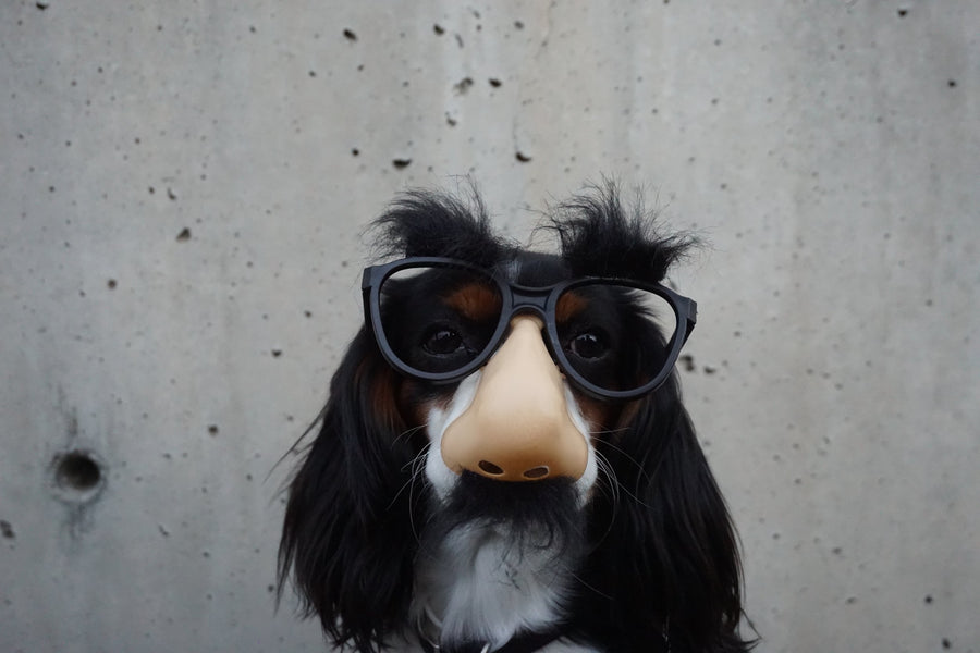"WTH Is That?" A New Blog Series